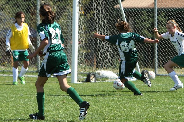 7079 Alligators GU12 091110