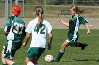 7087 Alligators GU12 091110