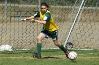 7093 Alligators GU12 091110