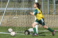 7098 Alligators GU12 091110