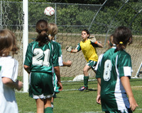 7120 Alligators GU12 091110