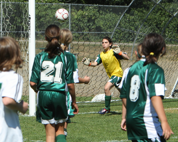 7120 Alligators GU12 091110