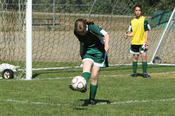 7126 Alligators GU12 091110