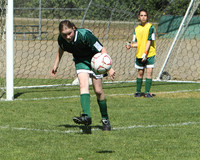 7128 Alligators GU12 091110