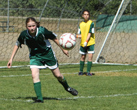 7129 Alligators GU12 091110