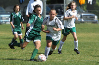 7130 Alligators GU12 091110