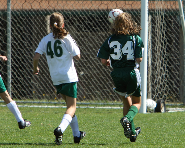 7141 Alligators GU12 091110