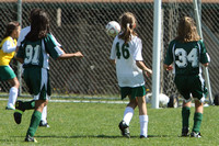 7145 Alligators GU12 091110