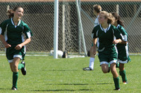 7155 Alligators GU12 091110