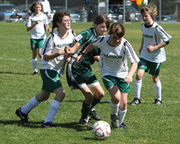 7160 Alligators GU12 091110