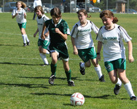 7162 Alligators GU12 091110