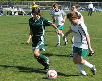 7163 Alligators GU12 091110