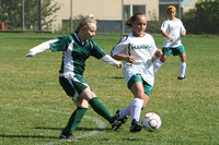 7171 Alligators GU12 091110