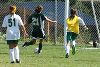 7176 Alligators GU12 091110