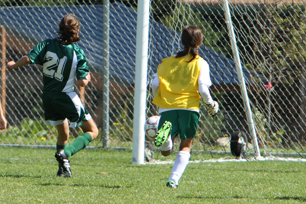 7178 Alligators GU12 091110