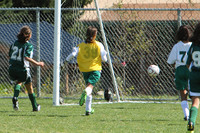 7180 Alligators GU12 091110