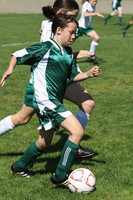 7195 Alligators GU12 091110