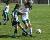 7203 Alligators GU12 091110