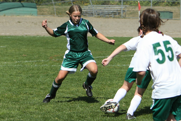 7207 Alligators GU12 091110