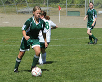 7208 Alligators GU12 091110