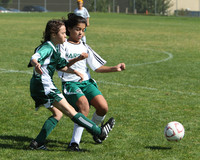 7211 Alligators GU12 091110