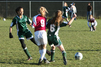 8736 Buccaneers GU13 120509