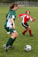 0333 Comets GU12 111409