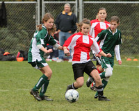 0391 Comets GU12 111409