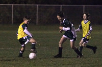 2765 Raptors v Storm BU12 111709