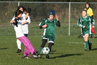 8082 Wasabi GU12 120509