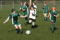 8086 Wasabi GU12 120509