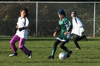 8103 Wasabi GU12 120509