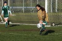 8114 Wasabi GU12 120509