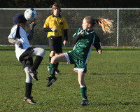 8120 Wasabi GU12 120509