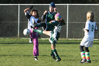 8138 Wasabi GU12 120509