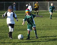 8162 Wasabi GU12 120509