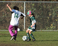 8184 Wasabi GU12 120509