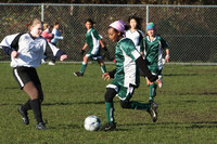 8188 Wasabi GU12 120509