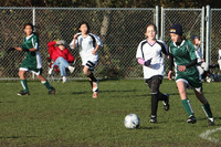 8196 Wasabi GU12 120509