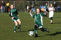 8208 Wasabi GU12 120509