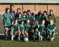 8228 Wasabi GU12 120509