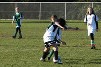 8269 Wasabi GU12 120509