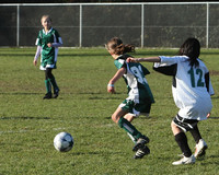 8270 Wasabi GU12 120509