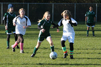 8271 Wasabi GU12 120509