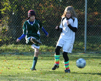 8278 Wasabi GU12 120509