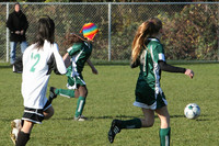 8279 Wasabi GU12 120509