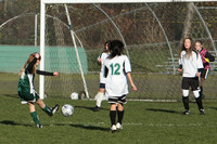 8295 Wasabi GU12 120509