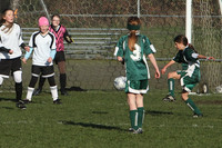 8296 Wasabi GU12 120509