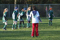 8311 Wasabi GU12 120509