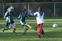 8314 Wasabi GU12 120509